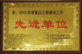 2015年1月 获得“2015年度重点工